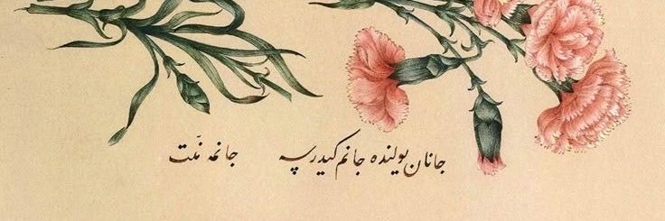 7munzevi's profile banner image