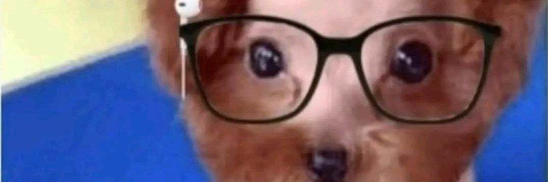 Minha hemorróida é grau 2 🤡 banner