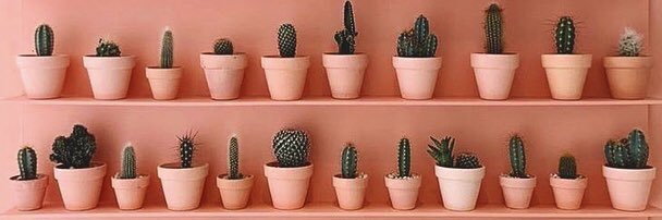 Cory Williams banner