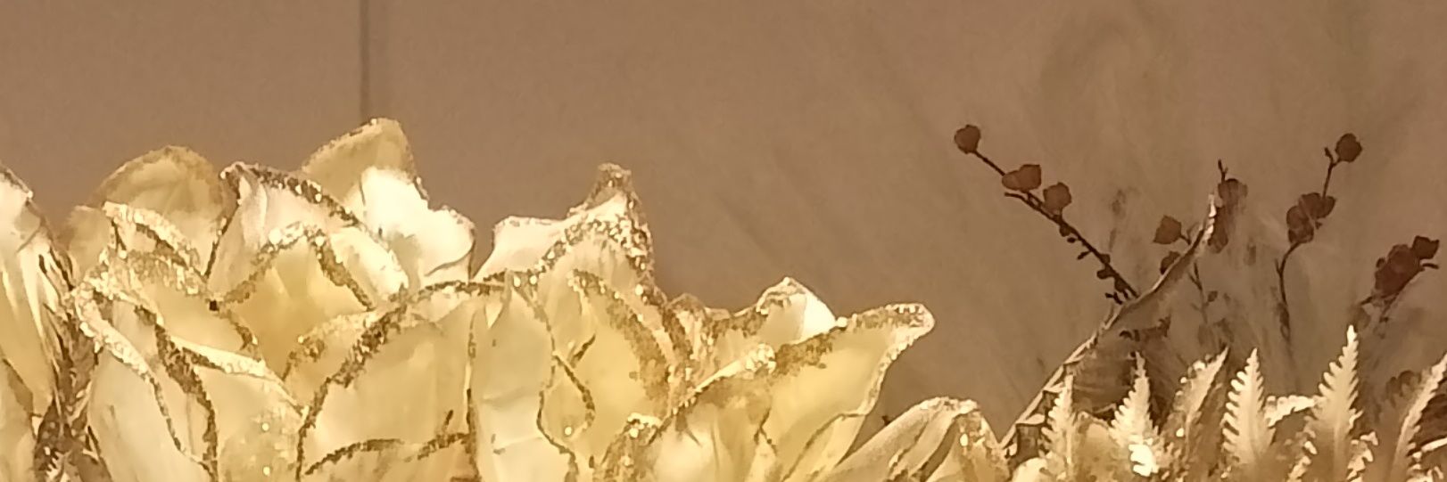 Lizcookie_0's profile banner image