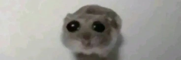 un Rod serio banner