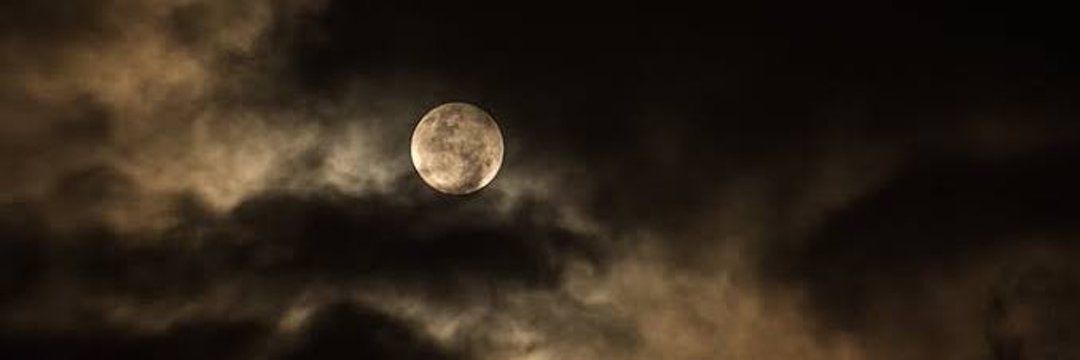 koeditler's profile banner image
