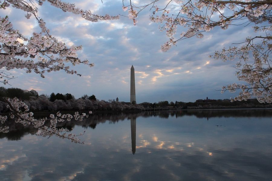 sophegar's profile banner image