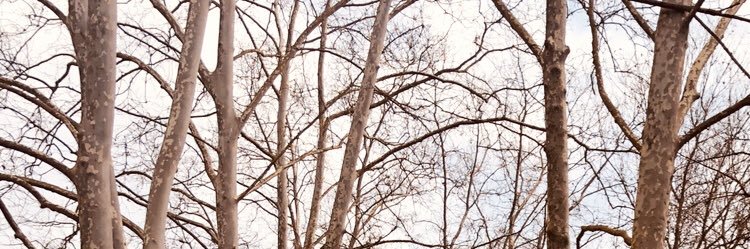 marc_arques's profile banner image