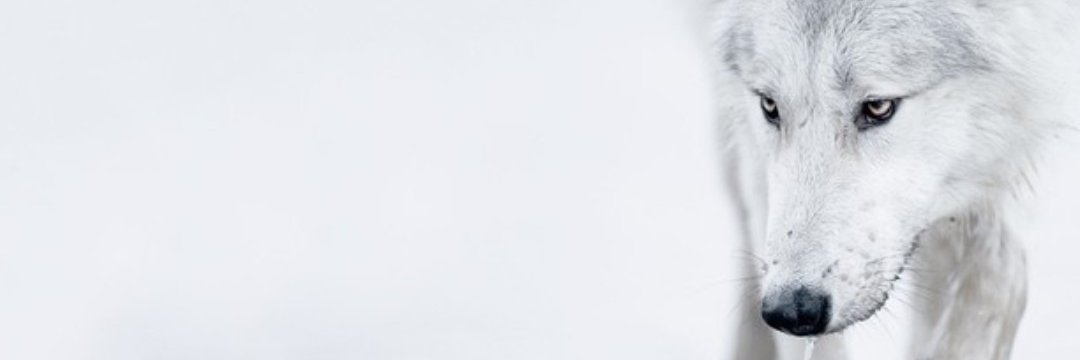 michaelmmathieu's profile banner image