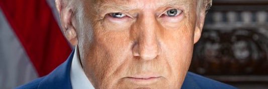 The MAGA Welder's banner