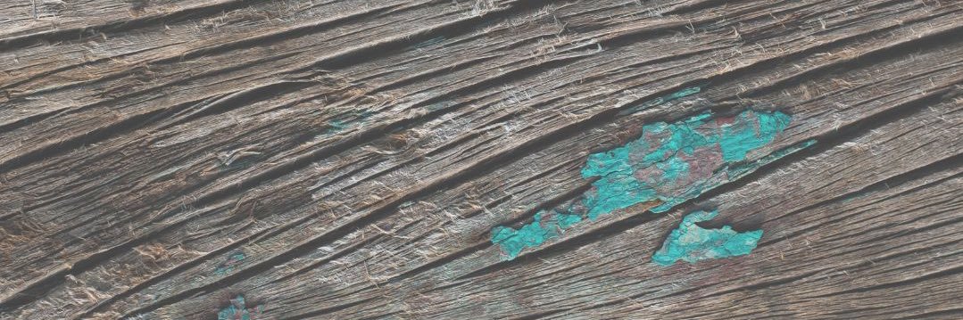 Stefanie Holtzheuser banner