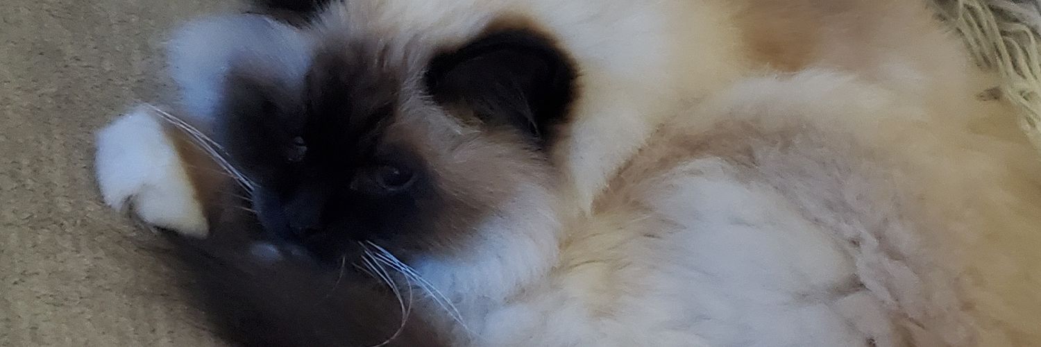 slicktech.eth banner