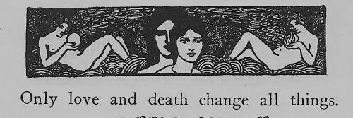 Ali (retour de mon gars l'écureuil) banner