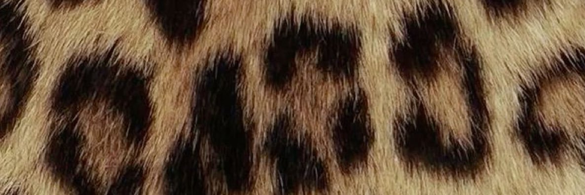 itsmonaevip's profile banner image