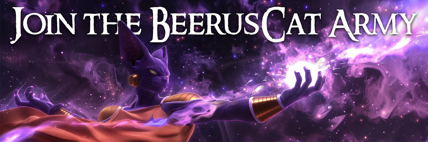 BeerusCatOnSol's profile banner image