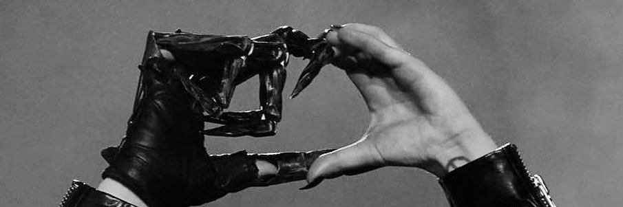 Pilu P🖤 banner