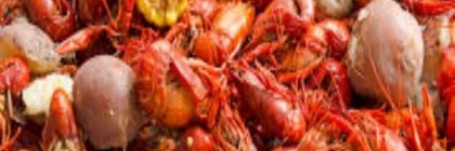 specterthePROOBBYIST banner