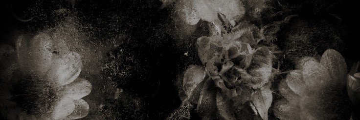 merumalini's profile banner image