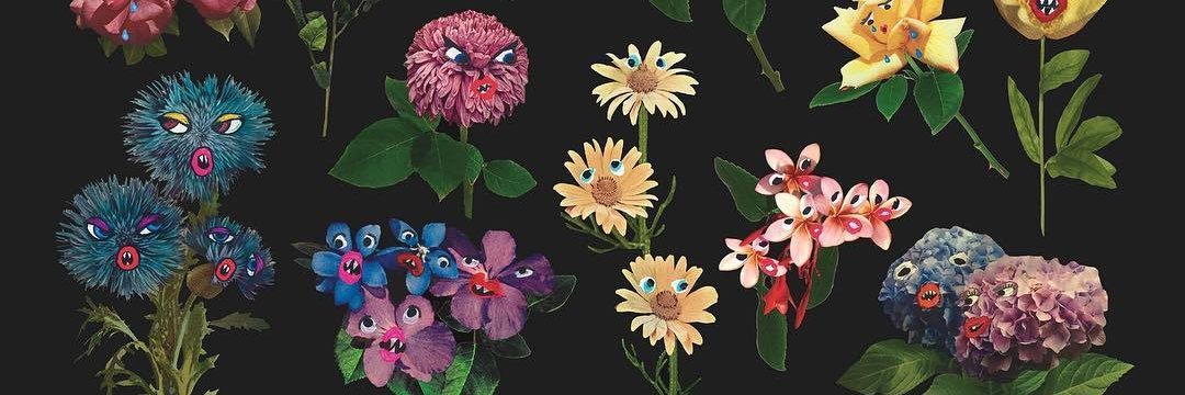 _joolied's profile banner image