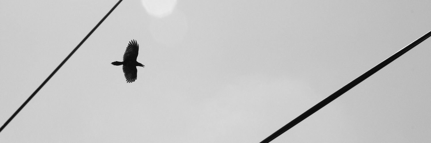 pickledbeatnik's profile banner image
