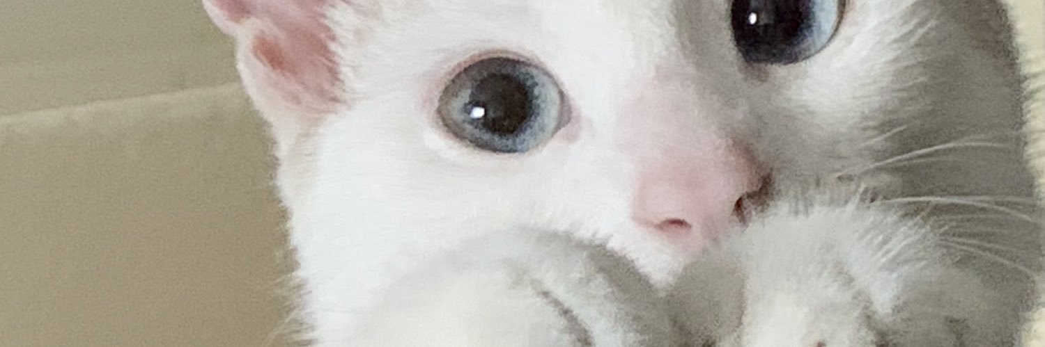 milisandee's profile banner image