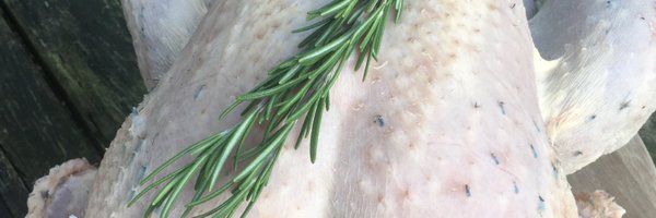 StBridesPoultry Profile Banner