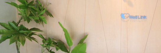 welllink_mental's profile banner image
