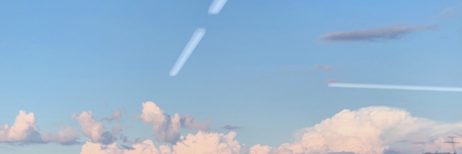 S.U.B's banner