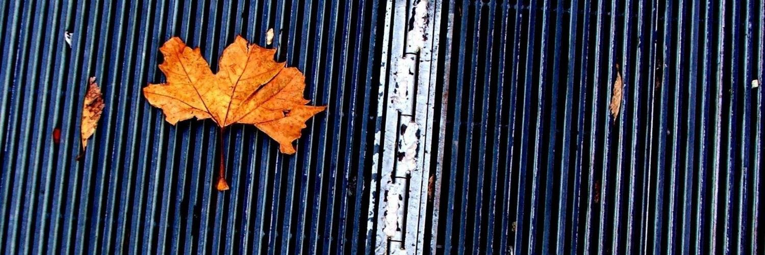 roblevit's profile banner image