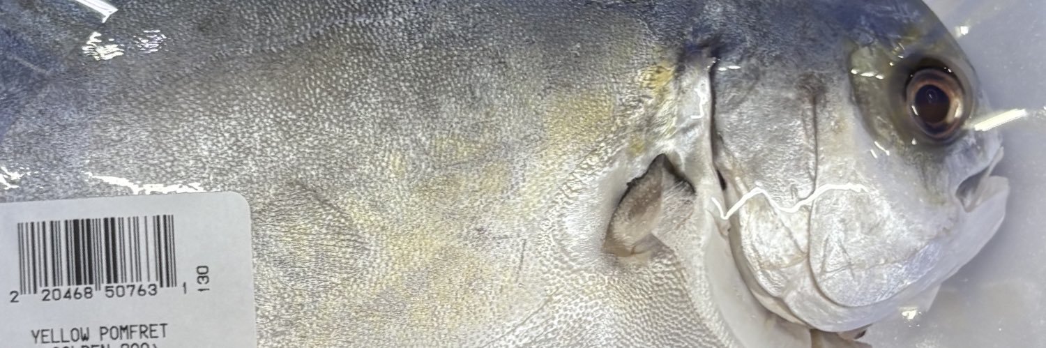 TheAsianFish's profile banner image