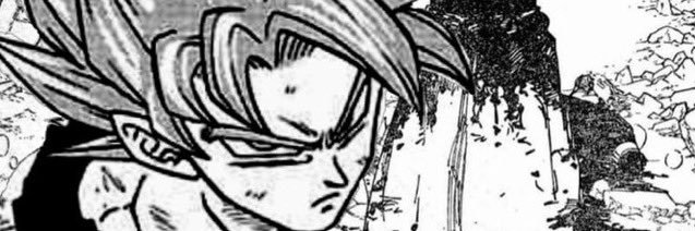 Sal banner