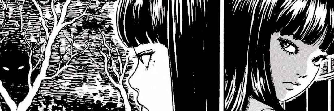 𝕭𝐀𝐃 ╱ 𝖂𝐎𝐋𝐅. banner