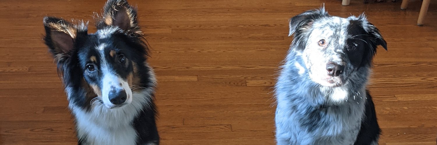 QuecoSM's profile banner image