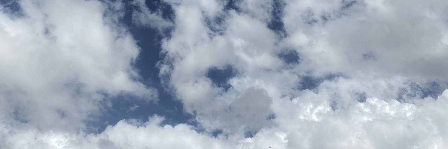 Emineinancoglu's profile banner image