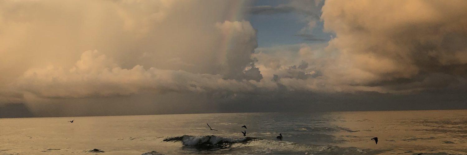 allieprindle's profile banner image