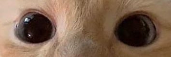 Han ♥️ banner