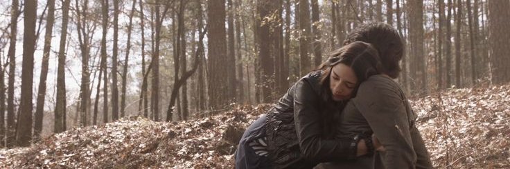 Daryl banner
