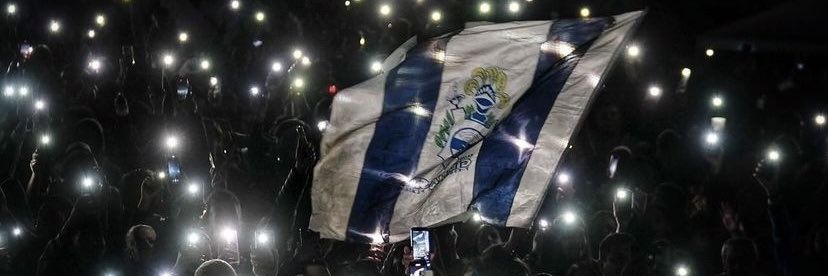 Mari's banner