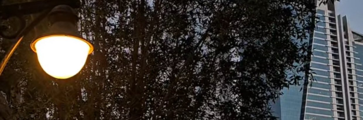 🥥 banner