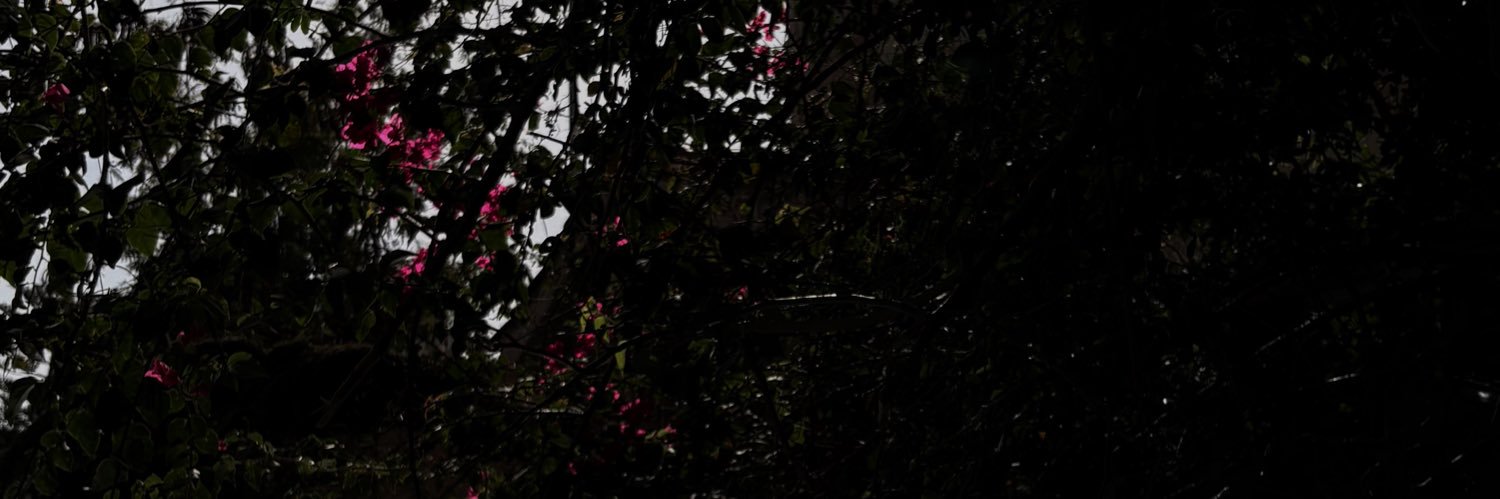 hpfeob's profile banner image