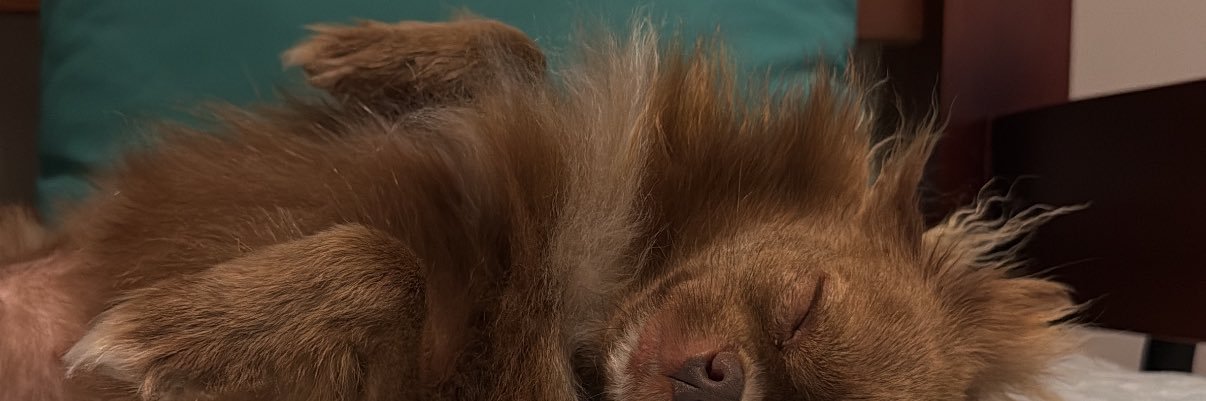 amandithaa_'s profile banner image