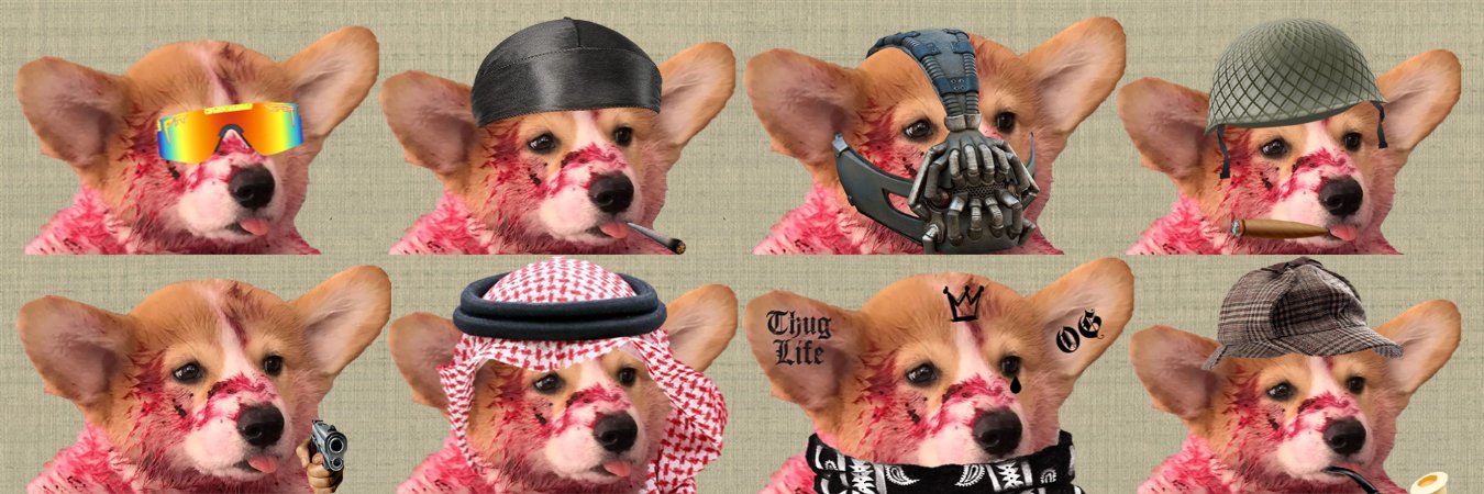 Jamdogcoin's profile banner image