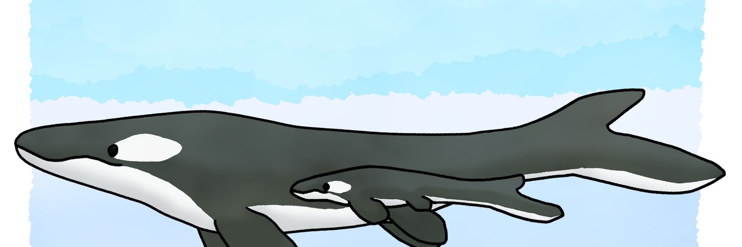 KLG banner
