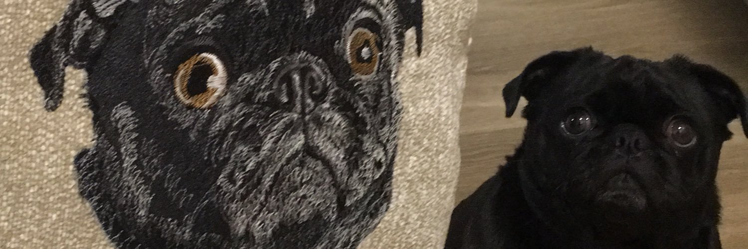 koMODO_dragon_'s profile banner image