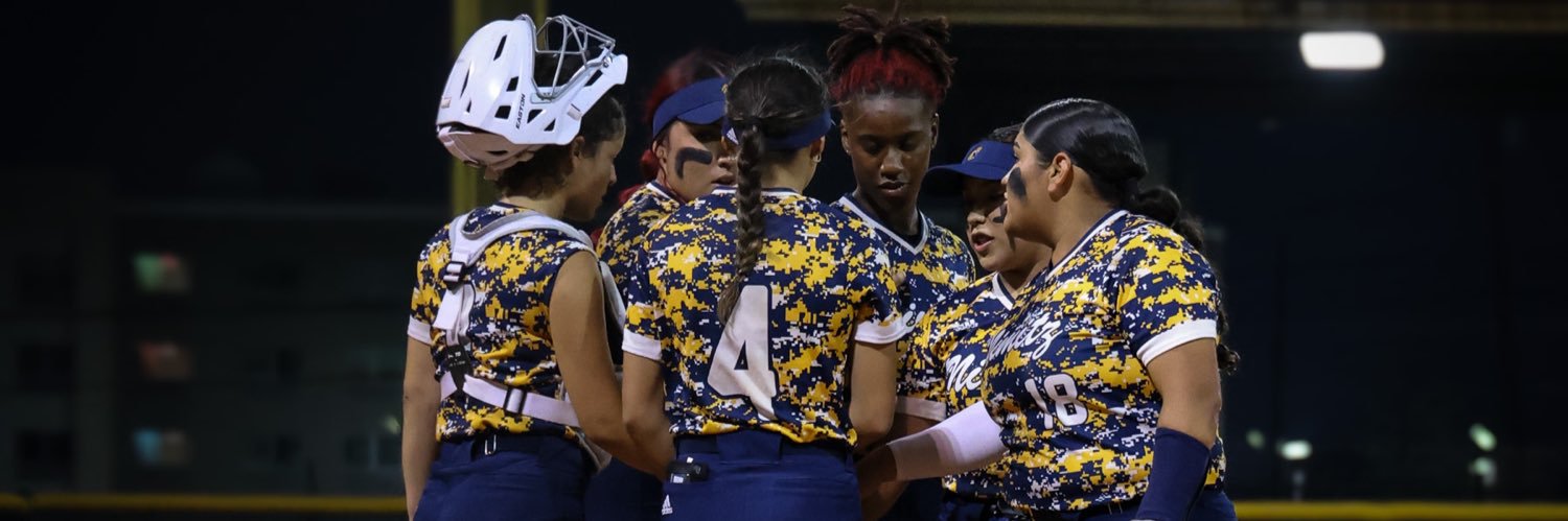 Aldine Nimitz Softball banner