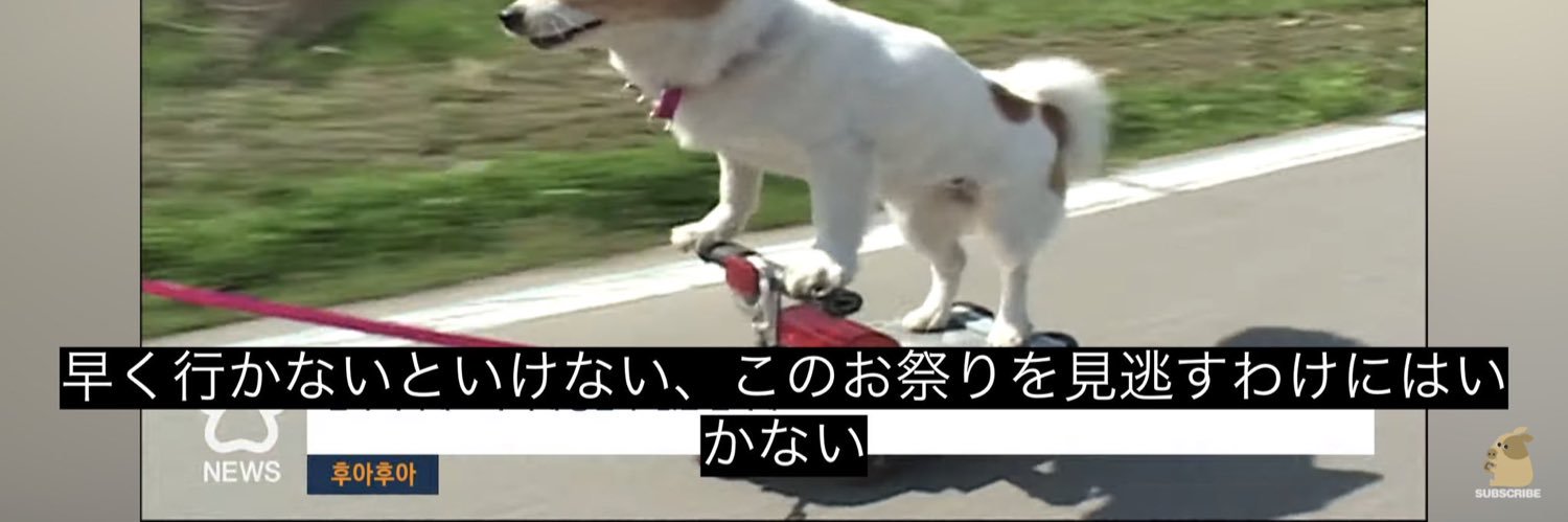 ぴよ banner