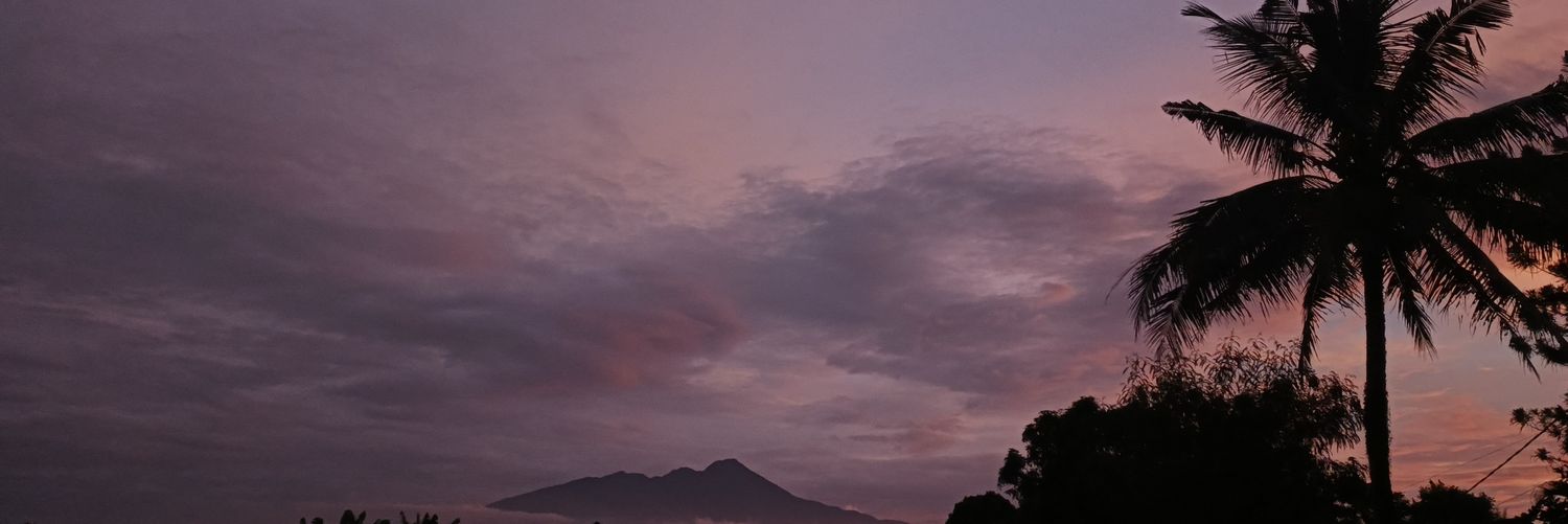 ౨ৎ ·˚ ༚ banner