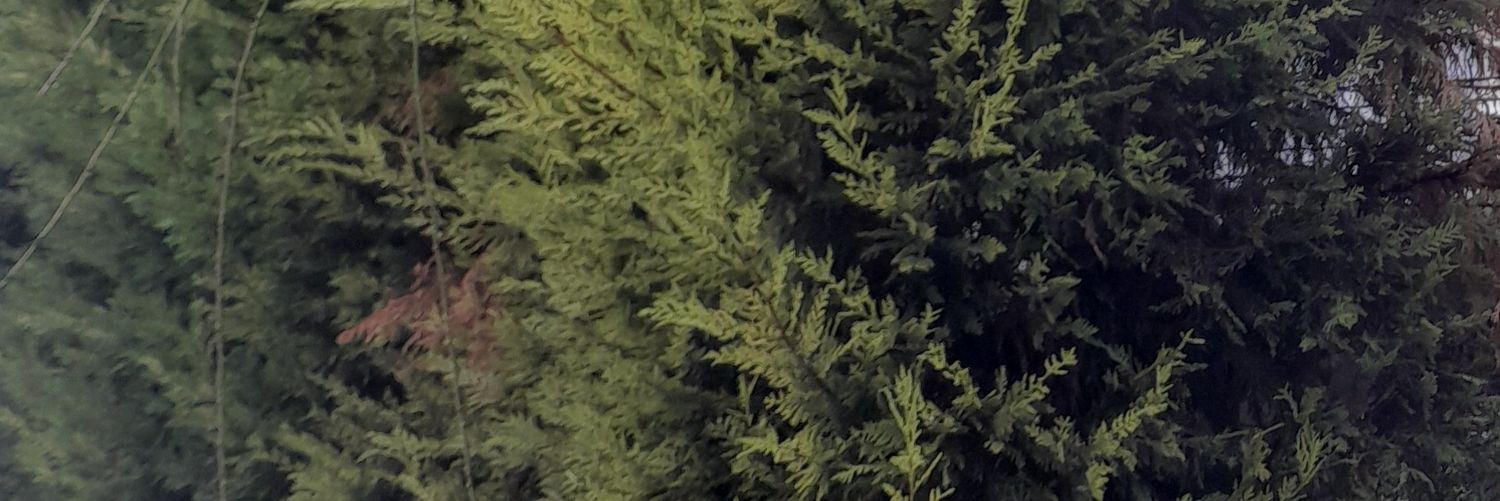 crayzz4154's profile banner image