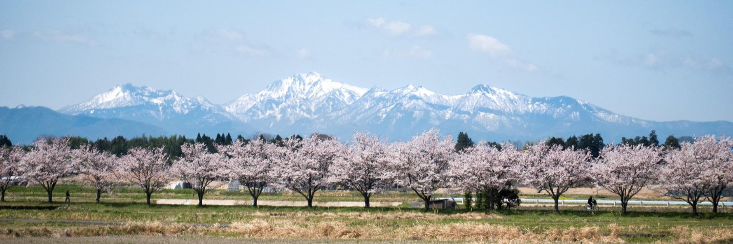 J-Music Fox 🦊✌️ banner