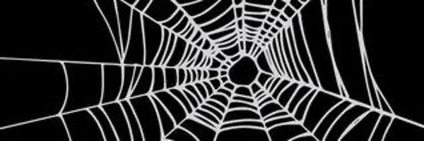 SpiderVb1 Profile Banner
