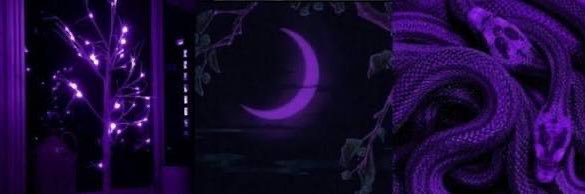 Beefy Lettuce •🖤• banner