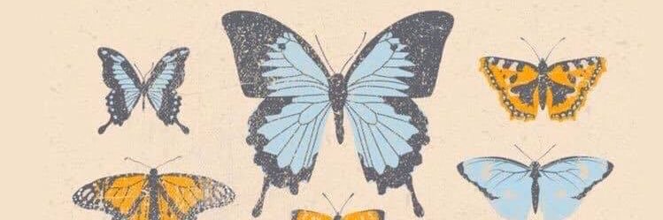 Alpha Xi Delta banner