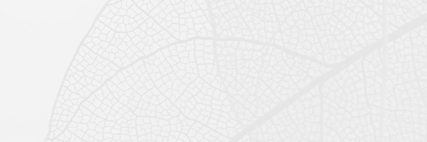 STAC_USP's profile banner image