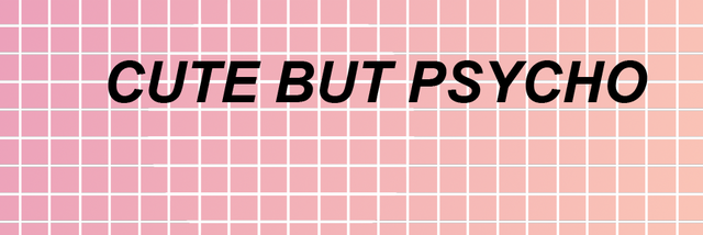 senembaci's profile banner image